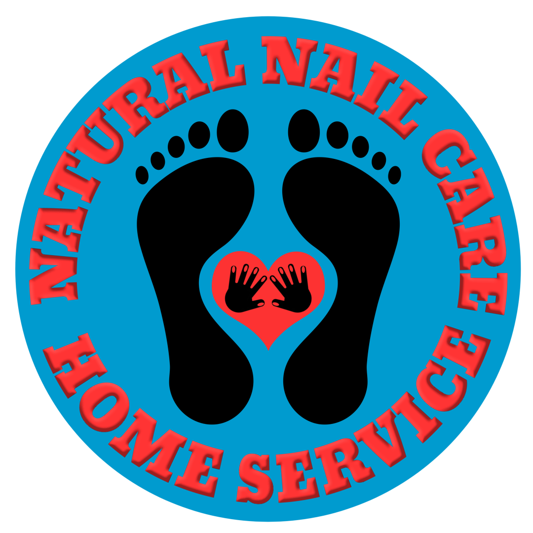 logo NNCHS 2025 (1)